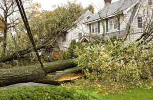Hurricane Damaged Homes by Fallen Trees and Power Lines. Insurance Claim Concepts.